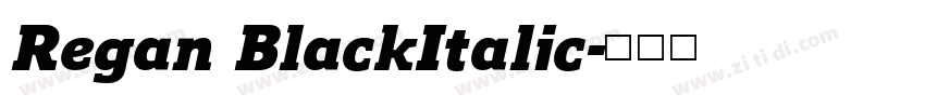 Regan BlackItalic字体转换